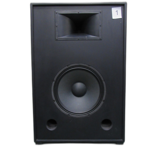 Generic PA speaker system